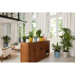 Bloempot Elho B.for Original Rond 25cm - Duifblauw 9 Bloempot Elho B.for Original Rond 25cm - Duifblauw -Woondecoratie Kortingen bfor original rond bloempot duifblauw 4 1