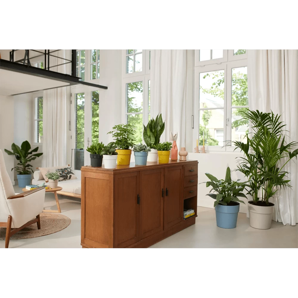 Bloempot Elho B.for Original Rond 25cm - Duifblauw 6 Bloempot Elho B.for Original Rond 25cm - Duifblauw - Afbeelding 4