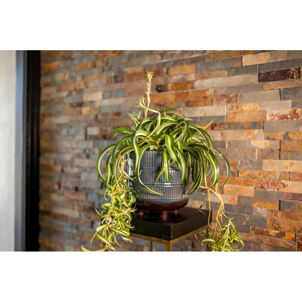 Bloempot Denise - D19 X H19cm - Sky Blue 4 Bloempot Denise - D19 X H19cm - Sky Blue - Afbeelding 2