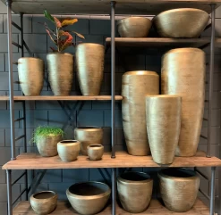 Plantenschaal Kos - D55 X H22cm - Goud -Woondecoratie Kortingen bloempot kos serie goud bloempot 3 1 6