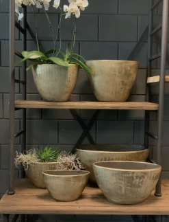 Bloempot Kos Ovaal - L33 X B14 X H27cm - Goud 7 Bloempot Kos Ovaal - L33 X B14 X H27cm - Goud -Woondecoratie Kortingen bloempot kos serie ovaal goud bloempot 3 1 1