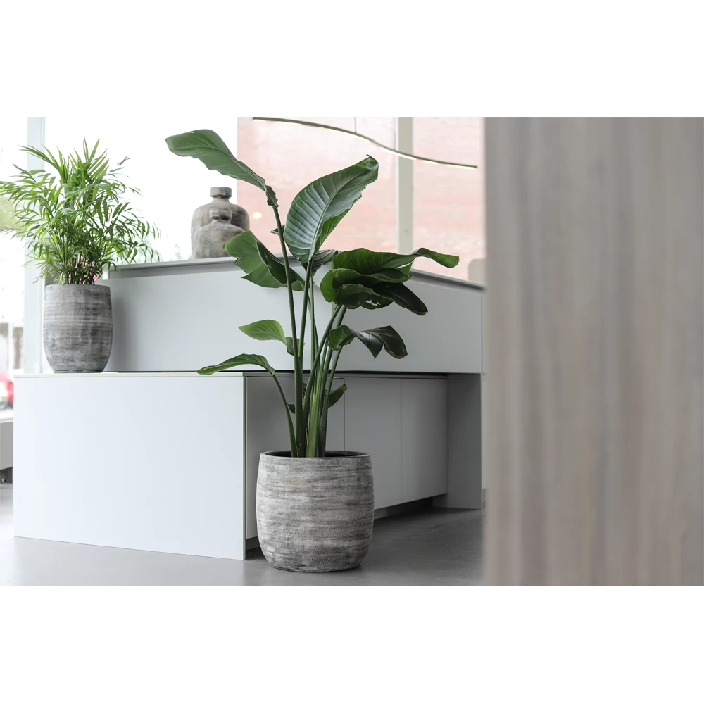 Bloempot Miami - D23 X H21cm - Zwart Cement 4 Bloempot Miami - D23 X H21cm - Zwart Cement - Afbeelding 2