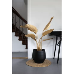 Bloempot Petra - D19 X H16cm - Mat Zwart 8 Bloempot Petra - D19 X H16cm - Mat Zwart -Woondecoratie Kortingen bloempot petra mat zwart 3 1