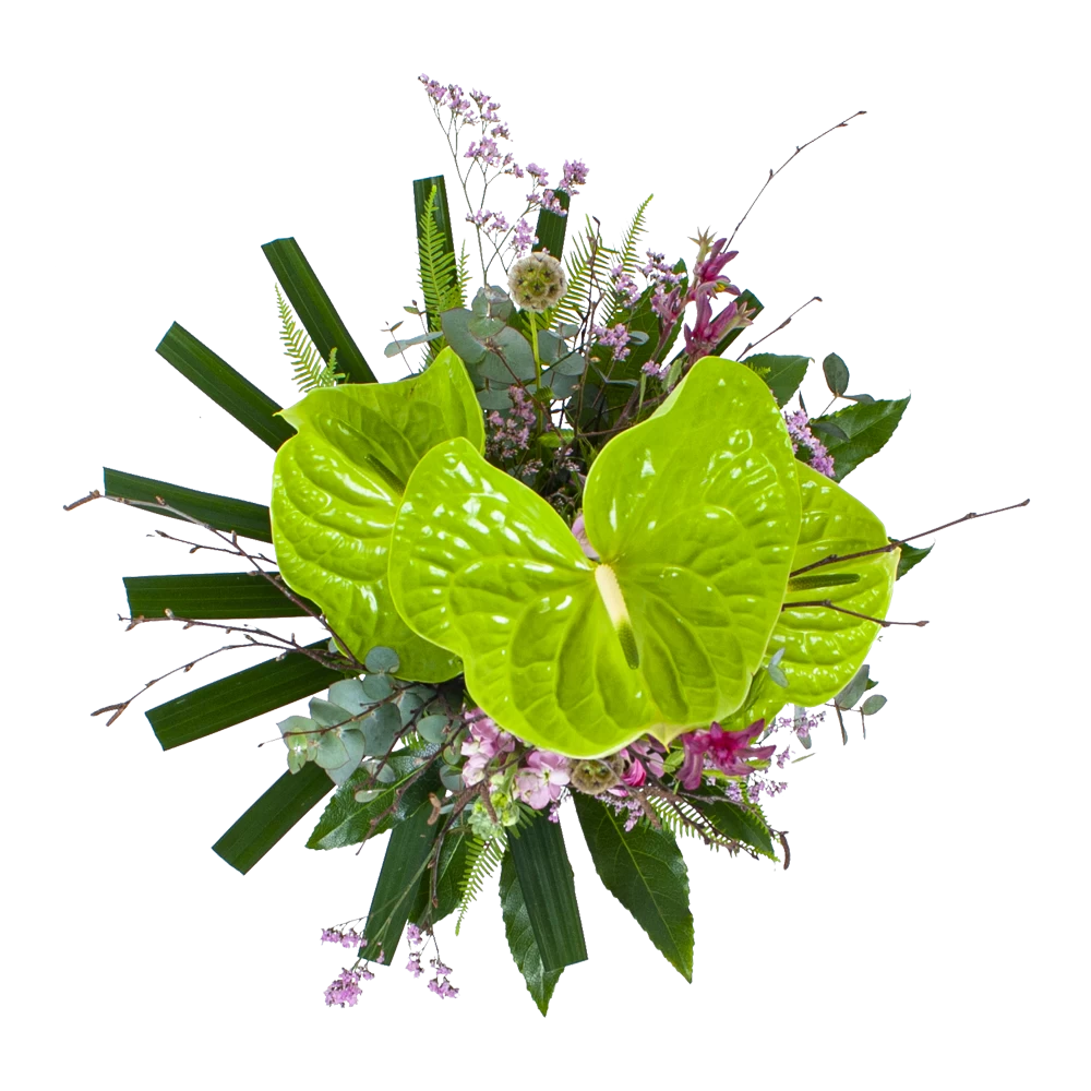 Boeket Anthurium Middel 4 Boeket Anthurium Middel - Afbeelding 2