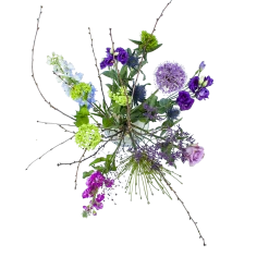 Nieuwe uitgaven 5 Boeket Biezen Groot