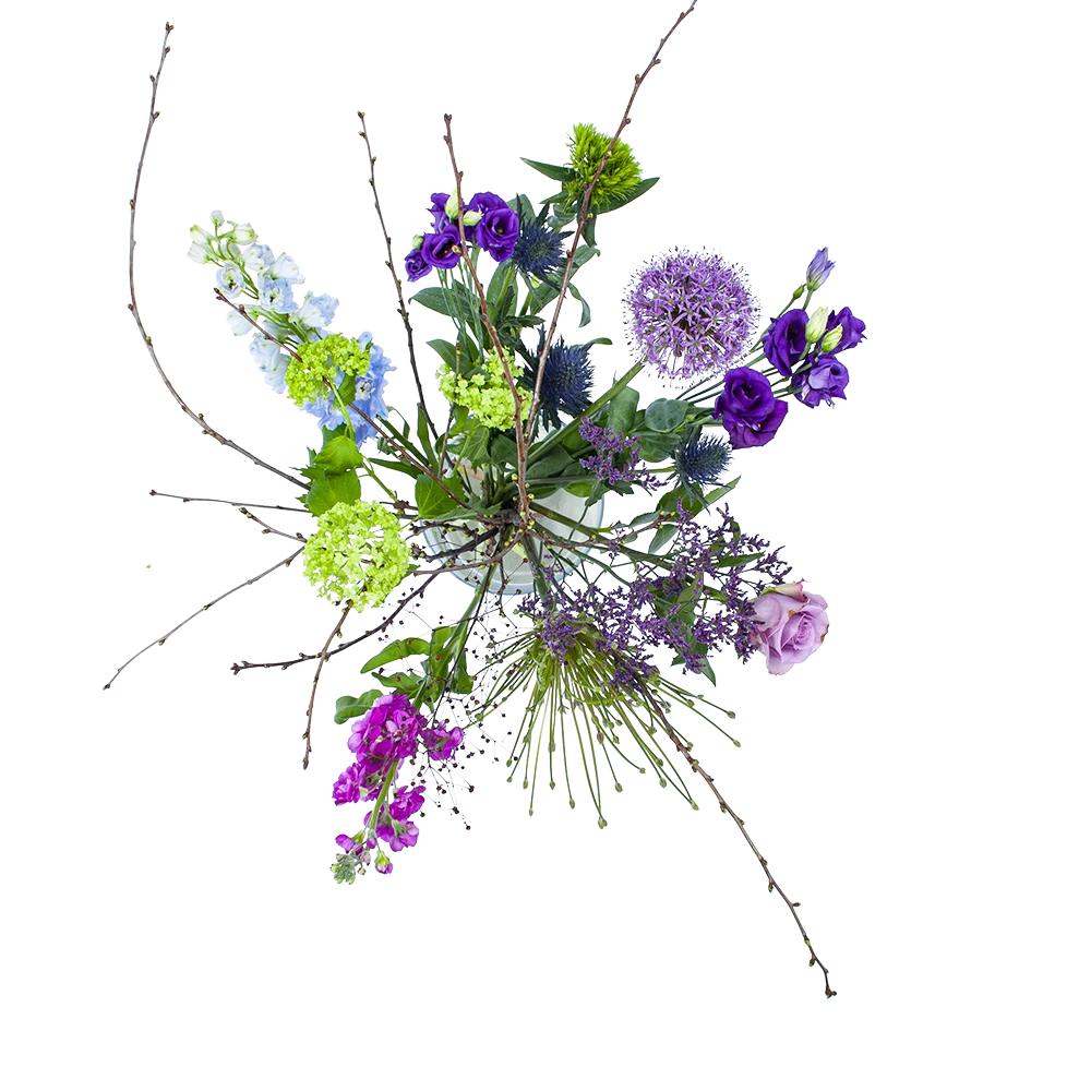 Boeket Biezen Groot 3 Boeket Biezen Groot