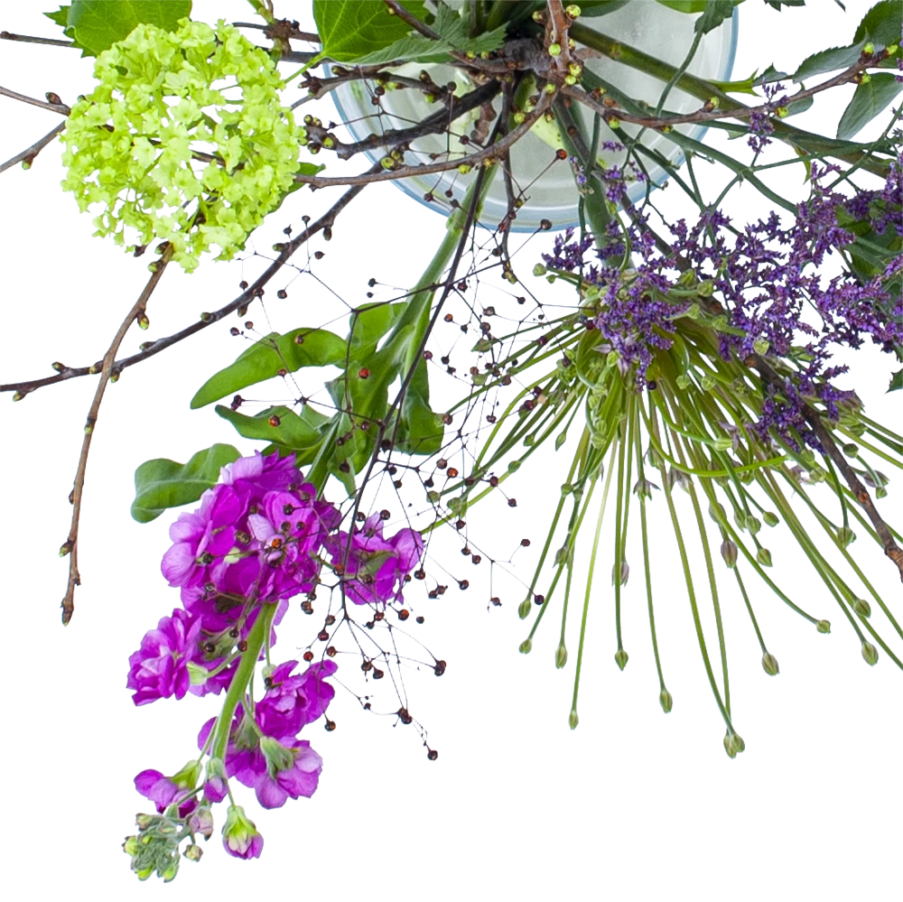 Boeket Biezen Groot 4 Boeket Biezen Groot - Afbeelding 2