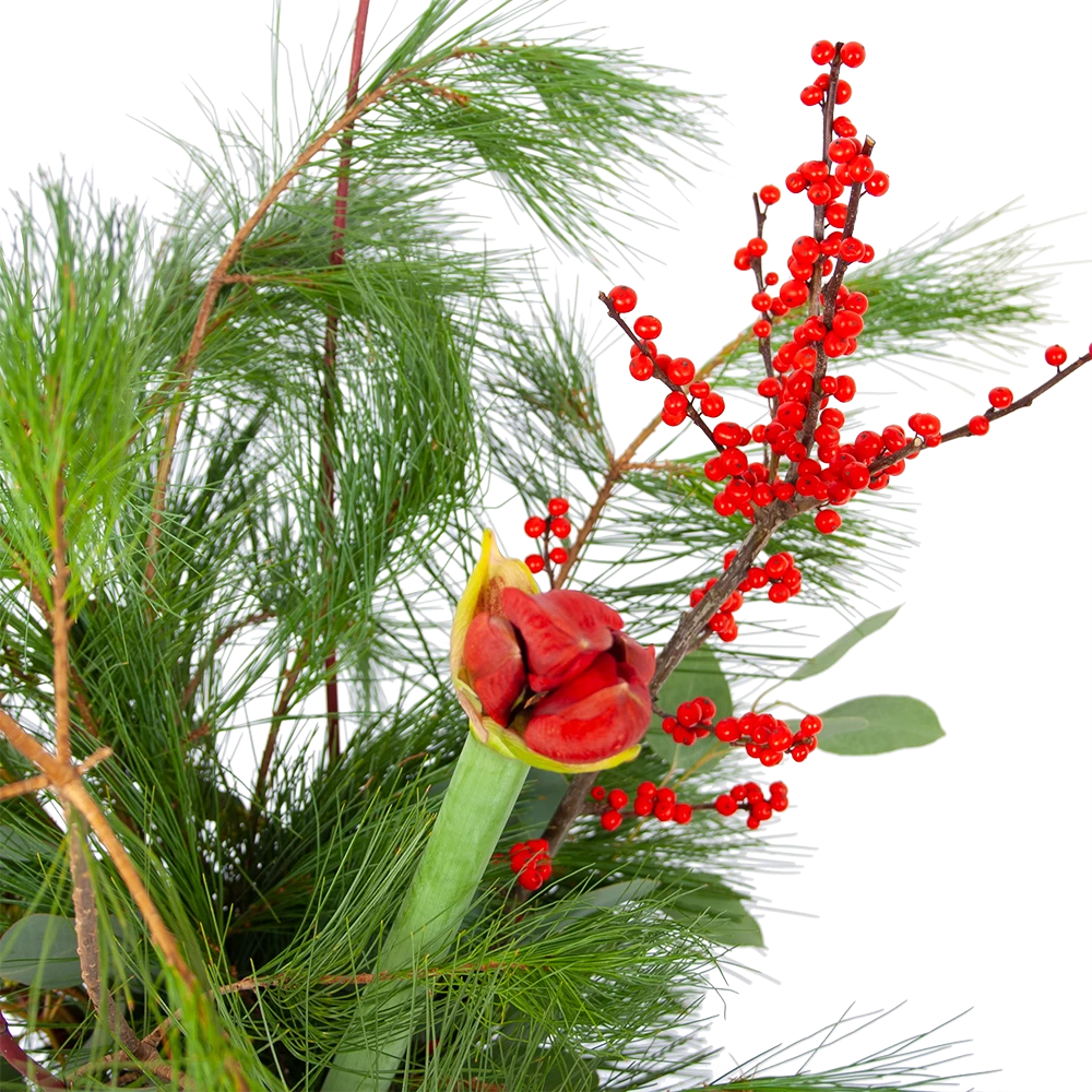 Boeket Deluxe Winter Groot 4 Boeket Deluxe Winter Groot - Afbeelding 2