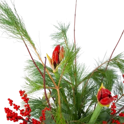 Boeket Deluxe Winter Groot 9 Boeket Deluxe Winter Groot -Woondecoratie Kortingen boeket deluxe winter boeketten 3 1 1