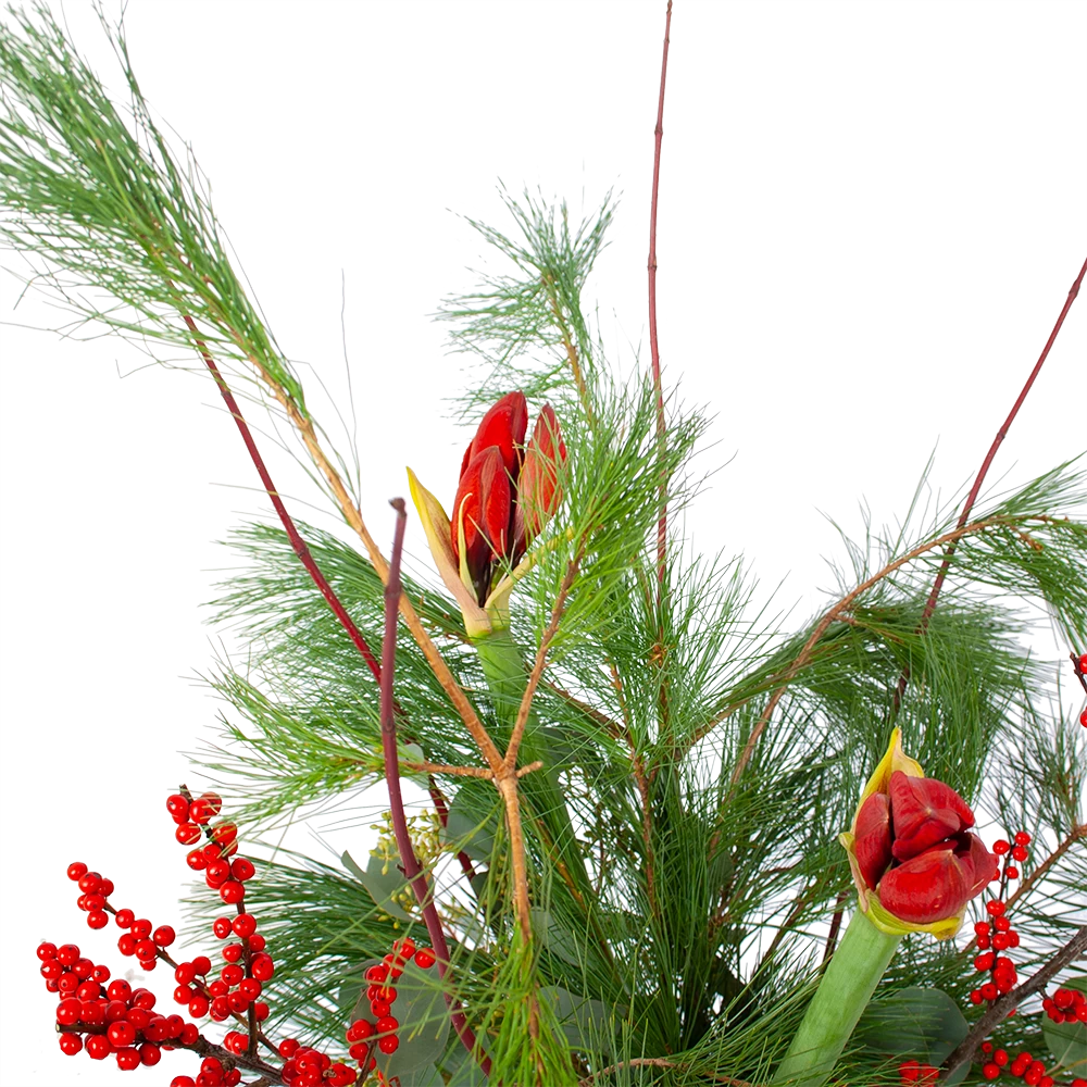 Boeket Deluxe Winter Groot 5 Boeket Deluxe Winter Groot - Afbeelding 3