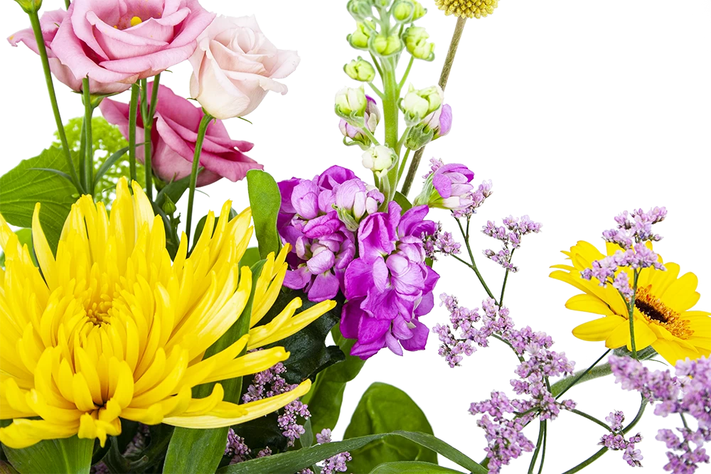 Boeket Eline Groot 5 Boeket Eline Groot - Afbeelding 3