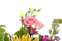 Boeket Eline Groot 11 Boeket Eline Groot -Woondecoratie Kortingen boeket eline boeketten 4 1