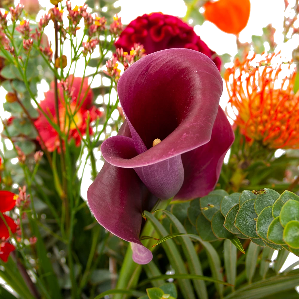 Boeket Herfst Warmte Middel 6 Boeket Herfst Warmte Middel - Afbeelding 4