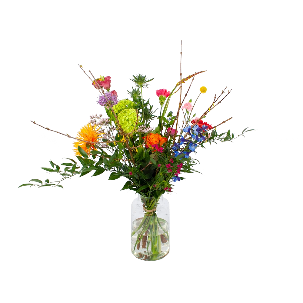 Boeket Kleurrijke Verrassing Middel 3 Boeket Kleurrijke Verrassing Middel