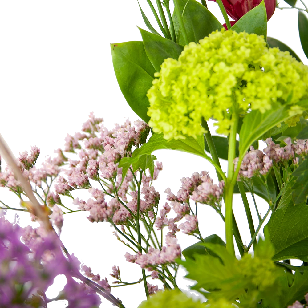 Boeket Kleurrijke Verrassing Middel 4 Boeket Kleurrijke Verrassing Middel - Afbeelding 2