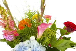 Boeket Lach Groot -Woondecoratie Kortingen boeket lach boeketten 4 1