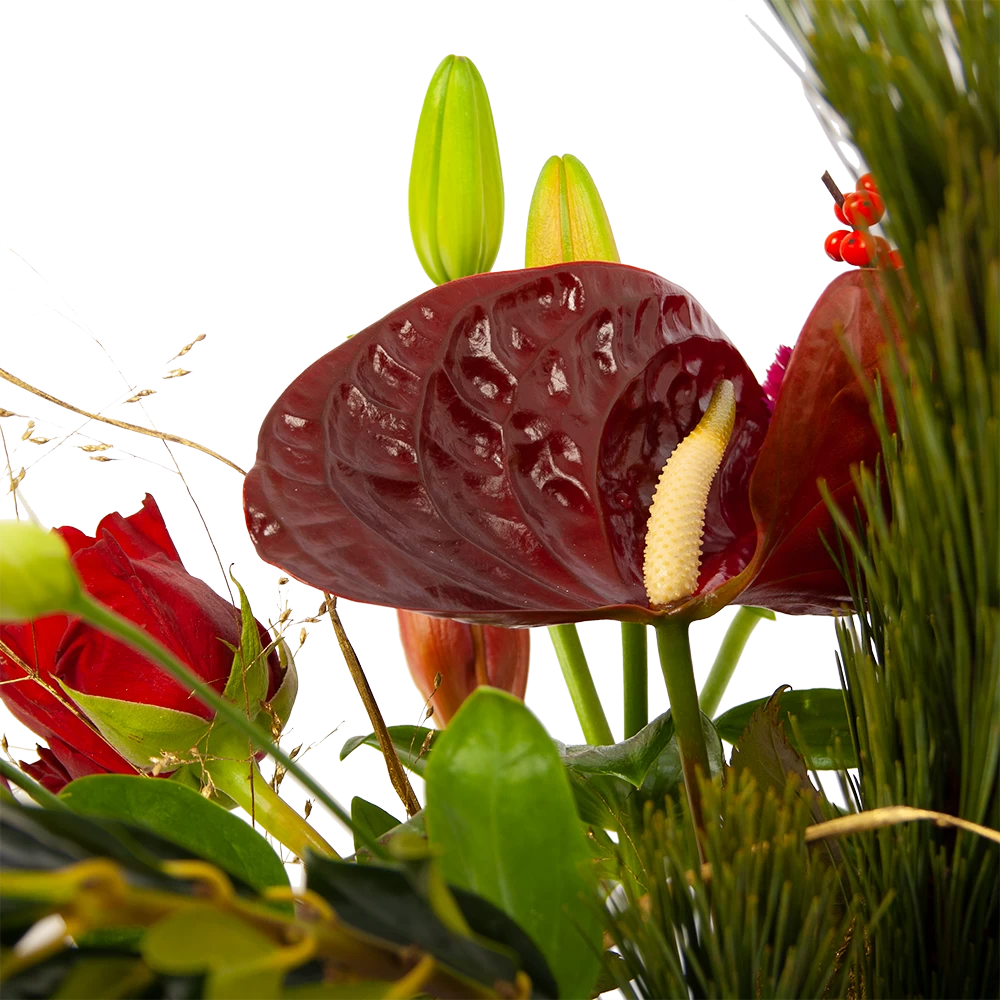 Boeket Liefdevolle Kerst Middel 6 Boeket Liefdevolle Kerst Middel - Afbeelding 4