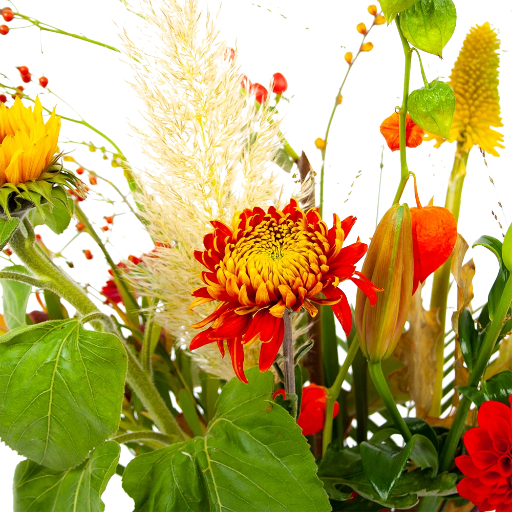 Boeket Pluim Van Het Najaar Klein 6 Boeket Pluim Van Het Najaar Klein - Afbeelding 4