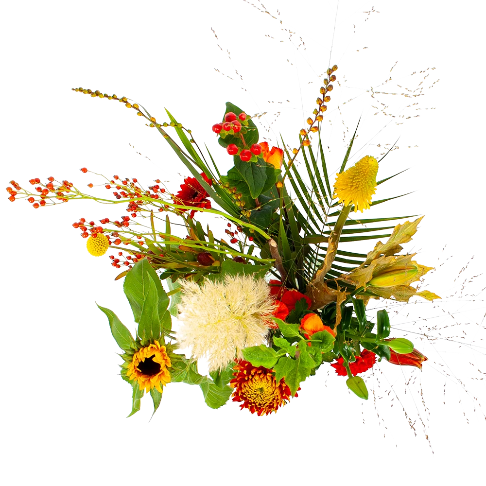 Boeket Pluim Van Het Najaar Middel 4 Boeket Pluim Van Het Najaar Middel - Afbeelding 2
