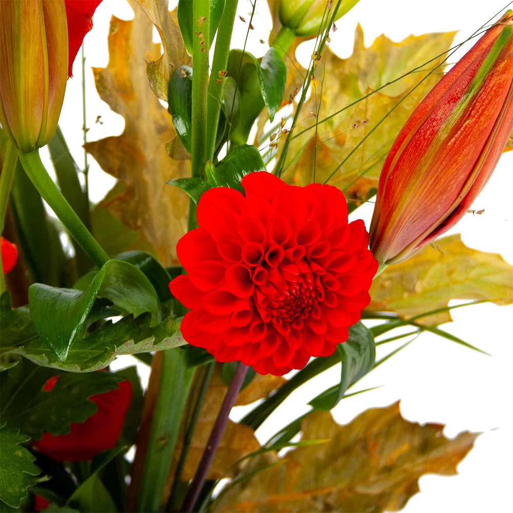 Boeket Pluim Van Het Najaar Middel 5 Boeket Pluim Van Het Najaar Middel - Afbeelding 3