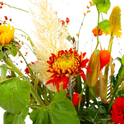 Boeket Pluim Van Het Najaar Middel 11 Boeket Pluim Van Het Najaar Middel -Woondecoratie Kortingen boeket pluim van het najaar middel boeketten 4