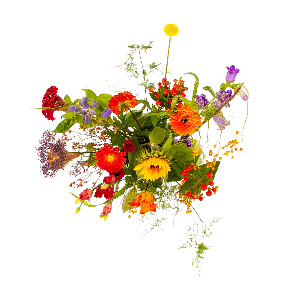 Boeket Plukgeluk Groot 4 Boeket Plukgeluk Groot - Afbeelding 2