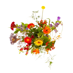 Woondecoratie Kortingen -Woondecoratie Kortingen boeket plukgeluk klein boeketten 2