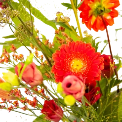 Boeket Plukgeluk Klein 10 Boeket Plukgeluk Klein -Woondecoratie Kortingen boeket plukgeluk klein boeketten 3