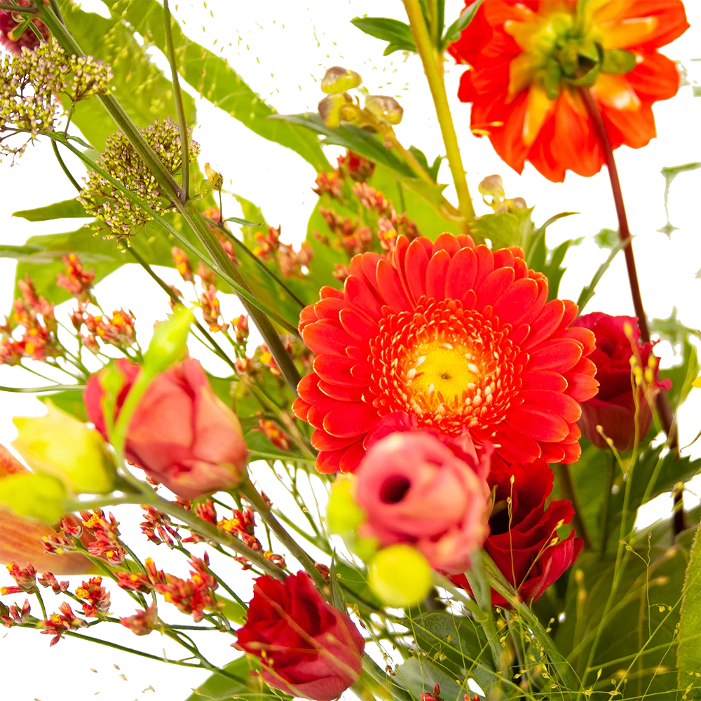 Boeket Plukgeluk Klein 5 Boeket Plukgeluk Klein - Afbeelding 3