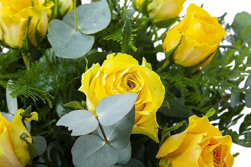 Boeket Rosa Geel Groot 5 Boeket Rosa Geel Groot - Afbeelding 3