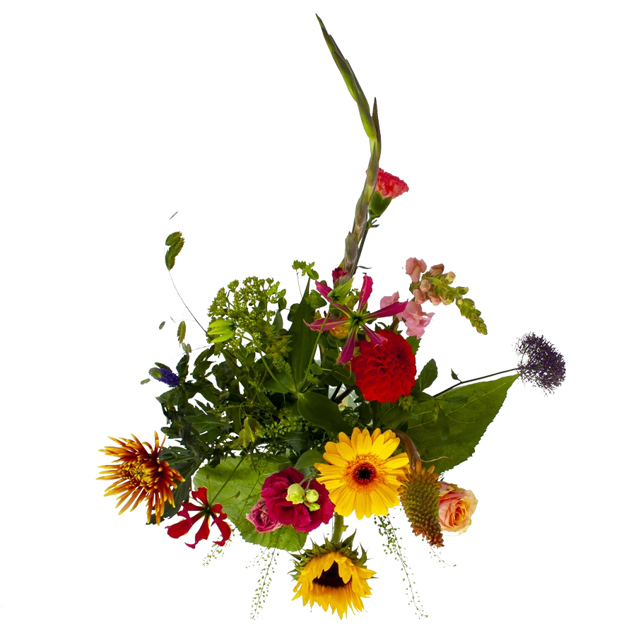 Boeket Vlinder Middel 4 Boeket Vlinder Middel - Afbeelding 2