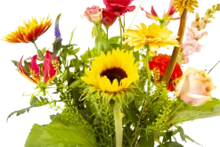 Boeket Vlinder Middel 10 Boeket Vlinder Middel -Woondecoratie Kortingen boeket vlinder boeketten 3 3 1