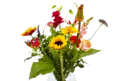 Boeket Vlinder Middel 11 Boeket Vlinder Middel -Woondecoratie Kortingen boeket vlinder boeketten 4 3 1