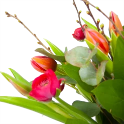 Boeket Vrolijk Roze Klein 9 Boeket Vrolijk Roze Klein -Woondecoratie Kortingen boeket vrolijk roze boeketten 3