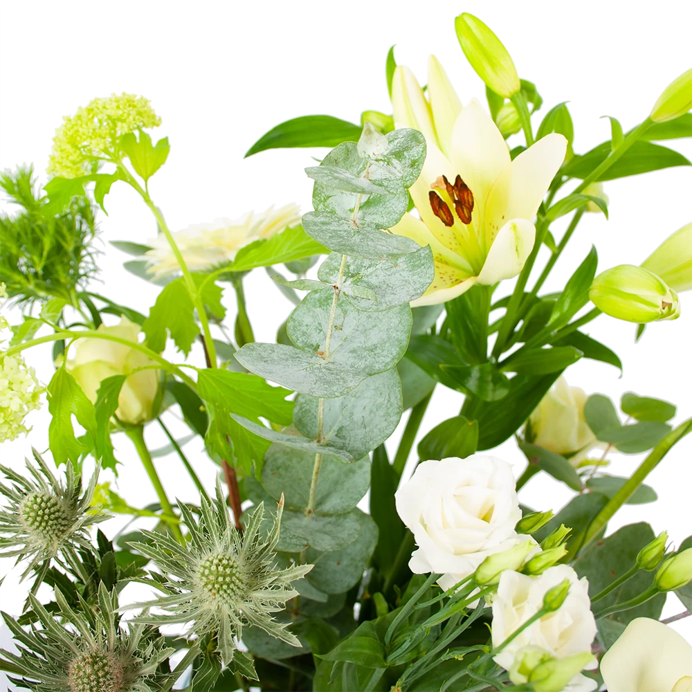 Boeket Wit Gebaar Middel 5 Boeket Wit Gebaar Middel - Afbeelding 3