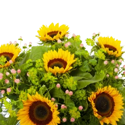 Boeket Zonnestraal Middel 10 Boeket Zonnestraal Middel -Woondecoratie Kortingen boeket zonnestraal boeketten 3 3 1