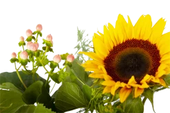 Boeket Zonnestraal Middel 11 Boeket Zonnestraal Middel -Woondecoratie Kortingen boeket zonnestraal boeketten 4 3 1