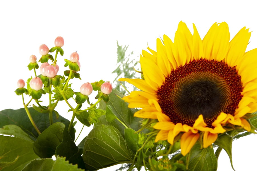 Boeket Zonnestraal Middel 6 Boeket Zonnestraal Middel - Afbeelding 4