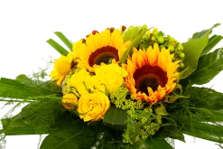 Boeket Zonnetje Klein -Woondecoratie Kortingen boeket zonnetje boeketten 3 1 1