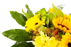 Boeket Zonnetje Klein -Woondecoratie Kortingen boeket zonnetje boeketten 4 1 1