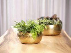 Plantenschaal Kody - D28 X H13cm - Goud -Woondecoratie Kortingen bowl kody gold d28 h13 schaal 7 12