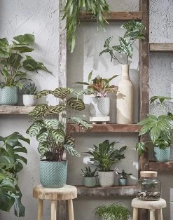 Bloempot Daan - D19 X H17.5cm - Groen 7 Bloempot Daan - D19 X H17.5cm - Groen -Woondecoratie Kortingen daan pot rond groen h17 5xd19cm bloempot 7 12