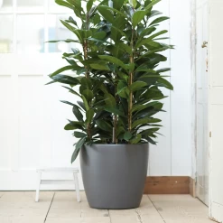 Bloempot Elho Brussels Rond 47cm - Met Wielen - Antraciet -Woondecoratie Kortingen elho brussels rond wielen 47 grijs bloempot 7 7