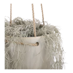 Hangpot Resa - D18,5 X H17cm - Lichtgrijs -Woondecoratie Kortingen hangpot resa d18 5 x h17cm lichtgrijs hangpot 3 1