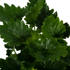 Philodendron Grizzly - P21 H55 - Kamerplant 8 Philodendron Grizzly - P21 H55 - Kamerplant -Woondecoratie Kortingen philodendron grizzly p21 h55 6