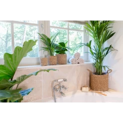 Plantenmand Joris - D33 X H31cm - Naturel 7 Plantenmand Joris - D33 X H31cm - Naturel -Woondecoratie Kortingen plantenmand joris naturel plantenmand 3 2