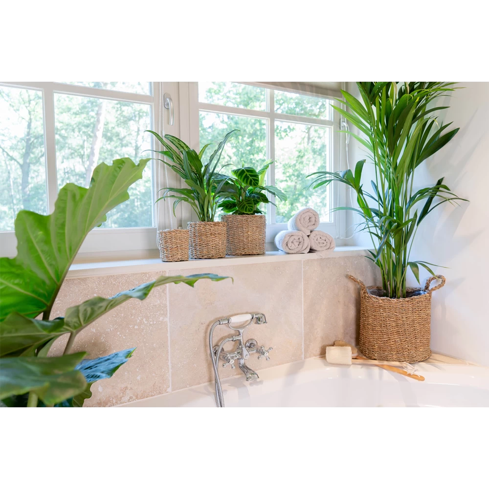 Plantenmand Joris - D33 X H31cm - Naturel 5 Plantenmand Joris - D33 X H31cm - Naturel - Afbeelding 3