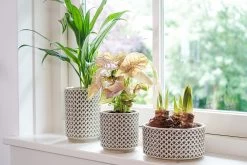 Bloempot Thies Hoog - D14 X H20cm - Olijf Groen 5 Bloempot Thies Hoog - D14 X H20cm - Olijf Groen -Woondecoratie Kortingen pot hoog thies olive green d14 h20 bloempot 6 10