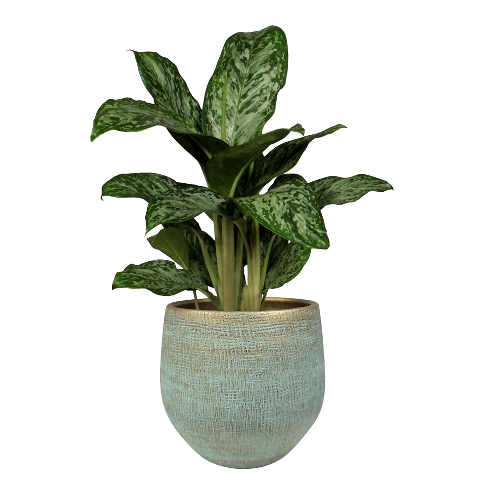 Bloempot Ryan - D36 X H32cm - Shiny Blue 4 Bloempot Ryan - D36 X H32cm - Shiny Blue - Afbeelding 2