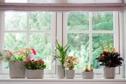 Bloempot Thies - D19 X H17cm - Olijf Groen 7 Bloempot Thies - D19 X H17cm - Olijf Groen -Woondecoratie Kortingen pot thies olive green d19 h17 bloempot 7 9